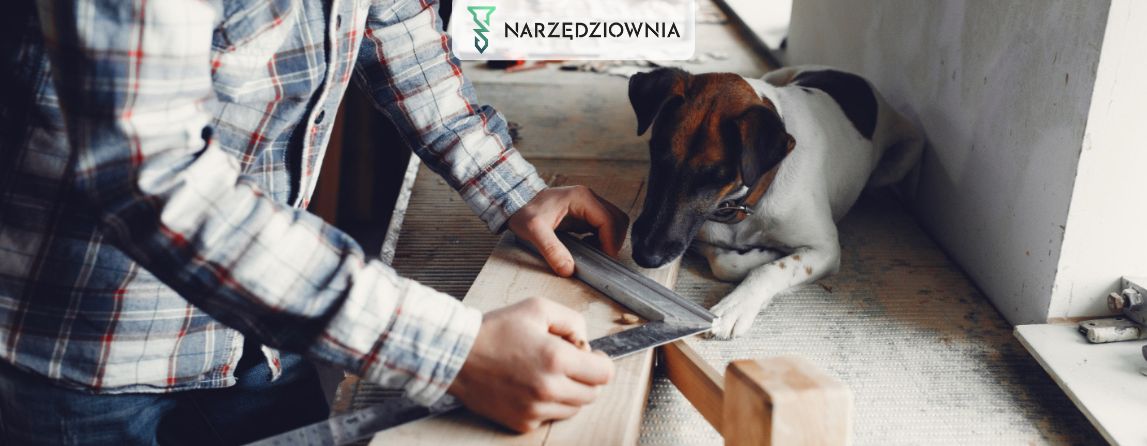 Jak zbudować budę dla psa